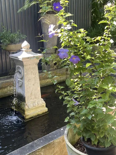 รูปภาพของบ้านสวนครูเสริฐ