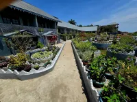 Rusty Rock Beach Resort & spa Hotels in 