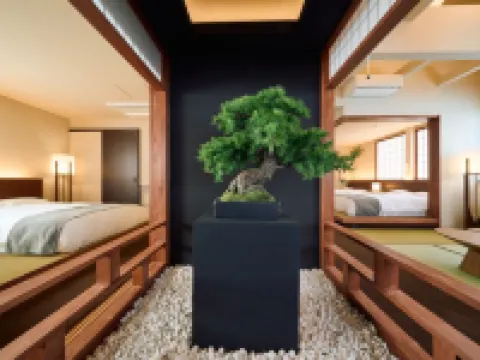 KONJAKUSO Osaka Tempozan "SHOHAKU" Pine Tree