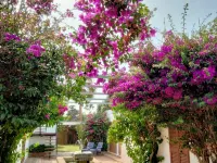 LA OLA Tarifa Hotéis em Tarifa