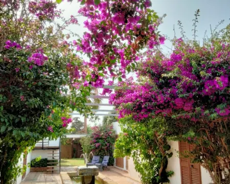 LA OLA Tarifa タリファのホテル