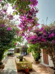 LA OLA Tarifa