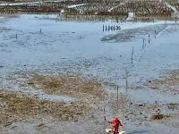 Cloud Peak Tide whisper Hotels in Kinmen