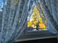 Family Suite & Parking Penthouse - con vista montagne