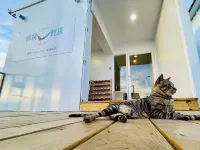 Lazy hostel