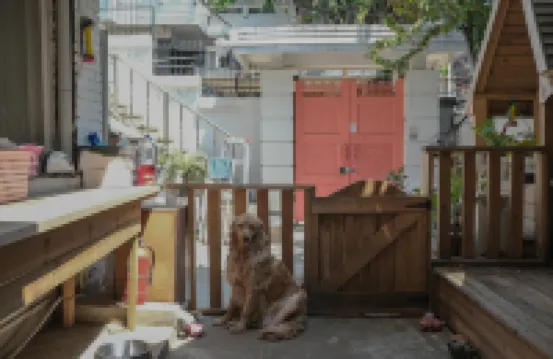 Helloworld guesthouse