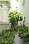 Opus Villas Tropical Phu Quoc - Villas