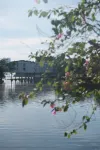 Hom. Staycation - Bed and Breakfasts