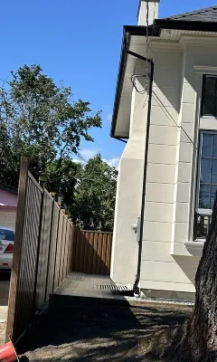 PEANUT - parking