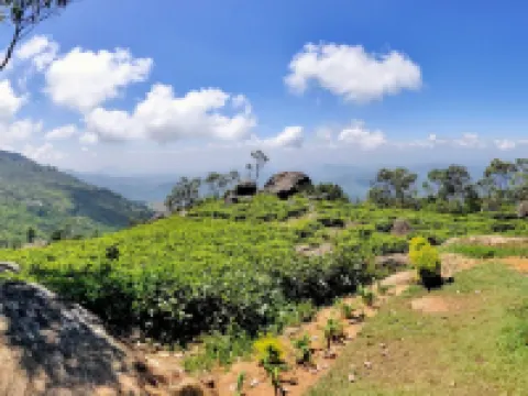 Clouds Holiday Bungalow, Haputale Hotels in Haputale
