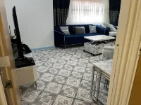 Entire flat by Principality Stadium (5 min walk)