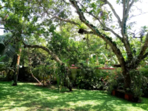 Unawatuna Villa Bird Nest- (Garden Apartments)