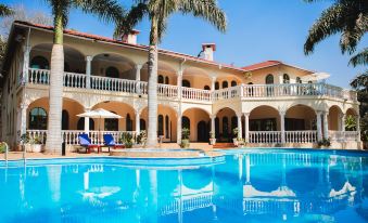 Golden Palm Boutique