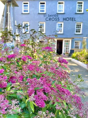 St Davids Cross Hotel Hotels in St David's