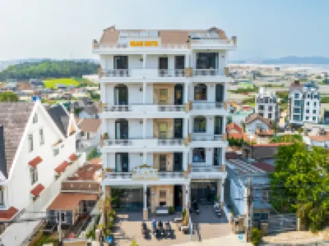 Olagi Hotel 2 Hotels near Dalat City Flower Garden