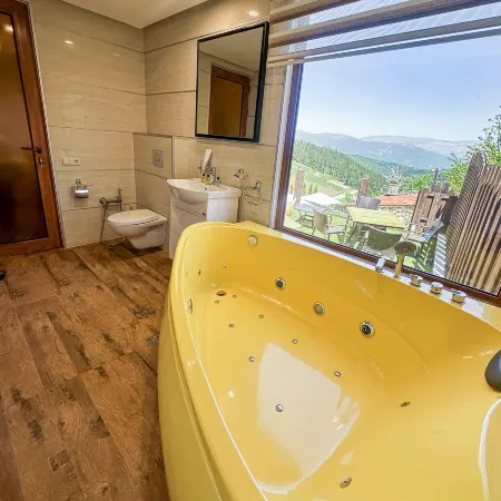 Alpine Castle Hotel