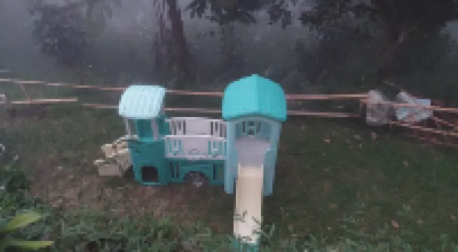 Zoya Hills