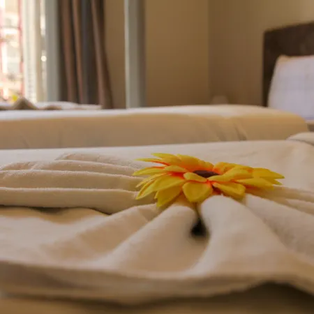 Yacoubian Hotels