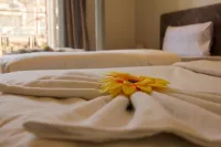 Yacoubian Hotels