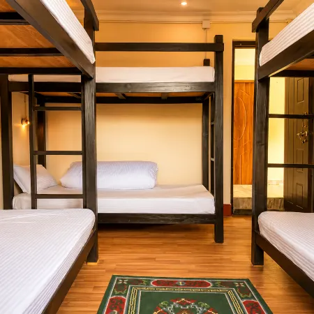 Birds Nest Hostel