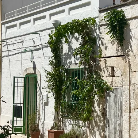Donna Ada typical house