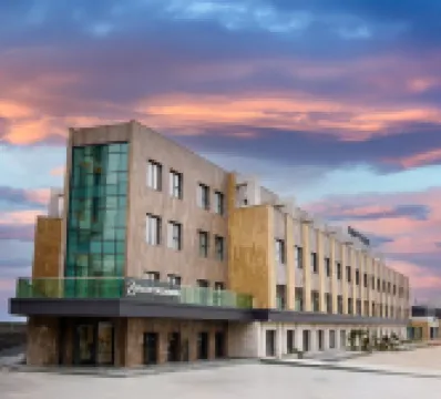 パーク デデマン コンヤ のホテル