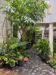 Duoi tan cay homestay Hotel di 