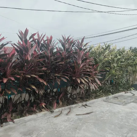 Seri Mersing Villa
