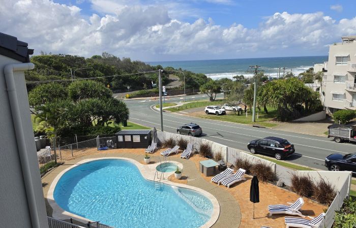 Pandanus Coolum Beach