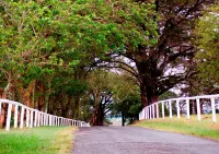 Mowbray Park Holidays