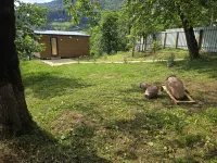 Hill house merisi - Chalets