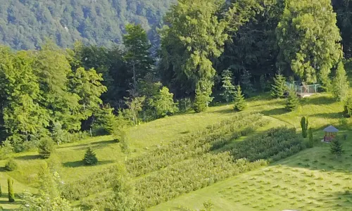 HOTEL RESORT GACKA
