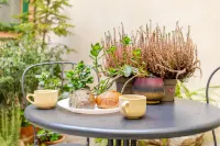 Vintage apartments in the center of Florence Hotels in 