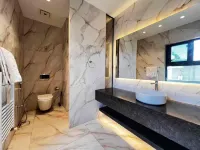 Long gang guoji gongguan