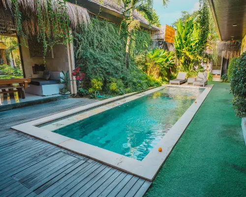 Butterfly Guesthouse Canggu