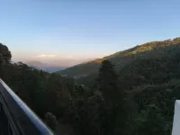 Summer hill resort Hotels in Chail