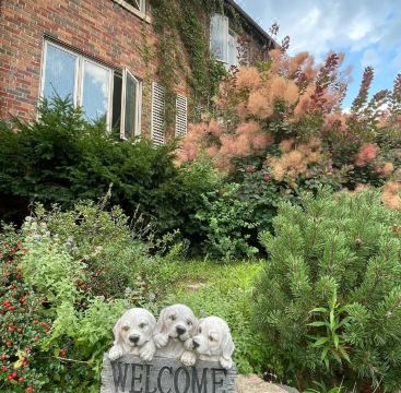 객실 내부 전경