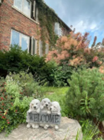 Forever 66 โรงแรมใน