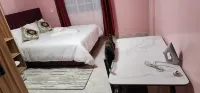 Texas Homes Meru Airbnbs - 홈스테이