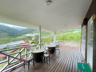 Alpaca Club Homestay