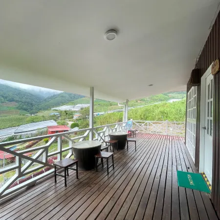 Alpaca Club Homestay