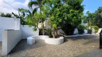 TuloMir #F (Happy accommodation located in the center of Moalboal) - Inns