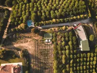 Quinta Raposeiros Country House - Ericeira - Portugal Hotels in Santo Isidoro