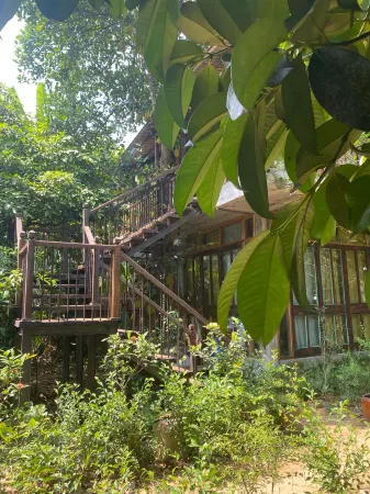 Nguyet Bieu Garden Riverside Отели рядом с достопримечательностью «Hon Chen»