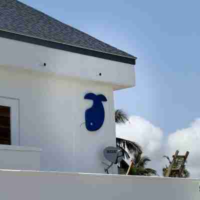 Joy Beach Lodge Hotel Exterior
