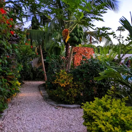 Hapahapa Zanzibar Bungalows Отели в г. Kaskazini B