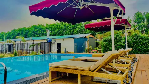 Vintclub Resort