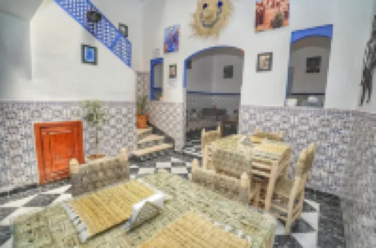 Riad Amirkesh and Pool