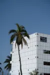 Wings by Hawks - Free Room Upgrade,30 Mints Spa, Guided Snorkeling Tour Hotel a 
