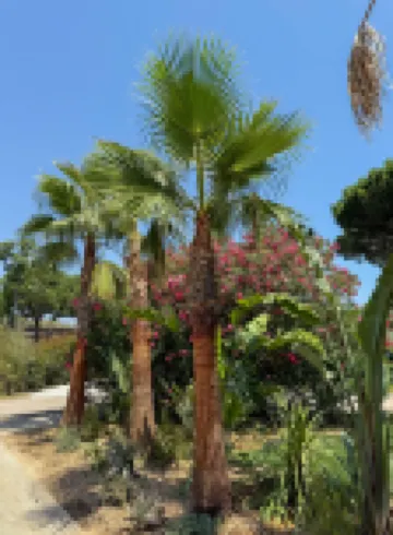 Mobile Home 8 people 4 bedrooms 39 m2 fully equipped